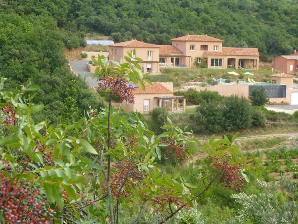 Domaine De Flo Adult A Partir De 16 Ans Panzió Saint-Jean-de-la-Blaquiere Kültér fotó