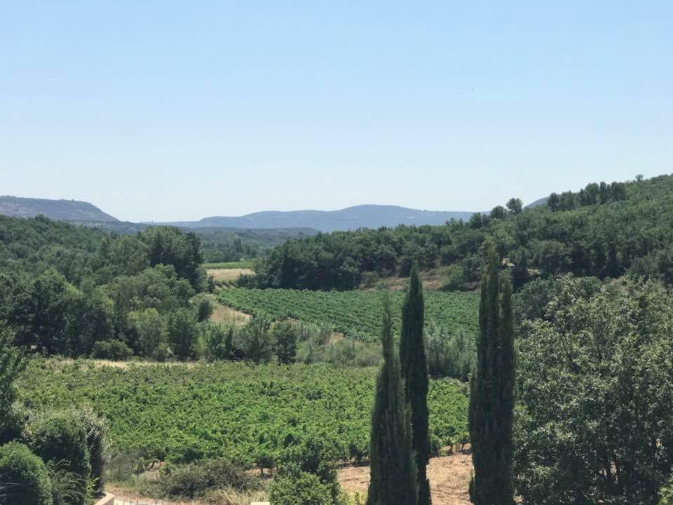 Domaine De Flo Panzió Saint-Jean-de-la-Blaquiere Kültér fotó